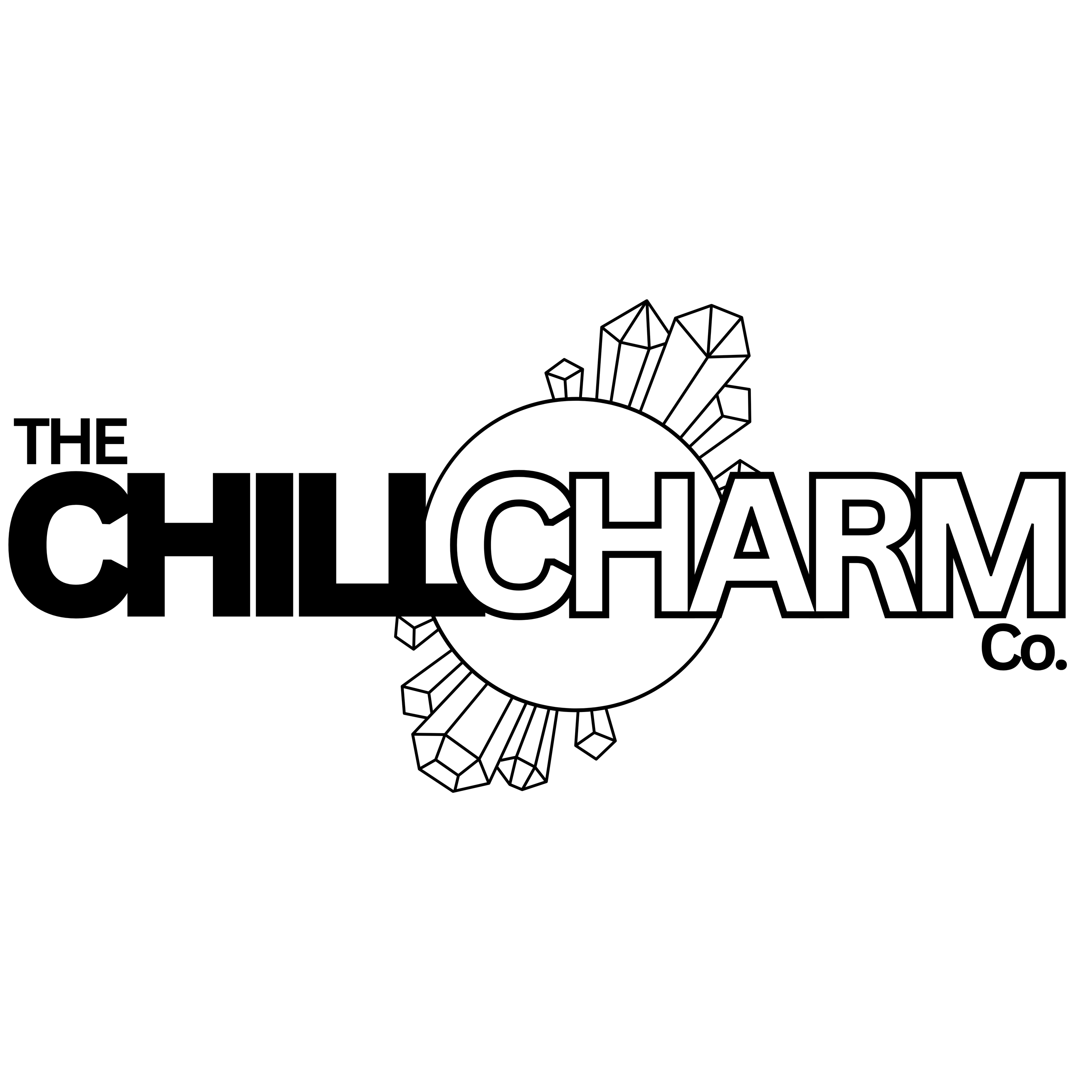 The Chill Charm Co. logo featuring a sleek, modern design with a minimal yet elegant aesthetic. Representing relaxation, self-care, and personal expression, the branding reflects a balance of calming energy and stylish versatility.